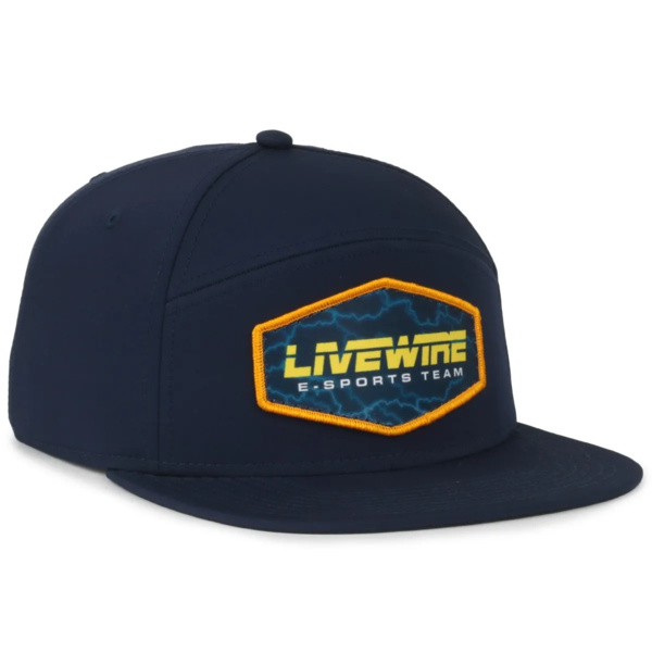 Split Panel Performance Snapback Thumbnail